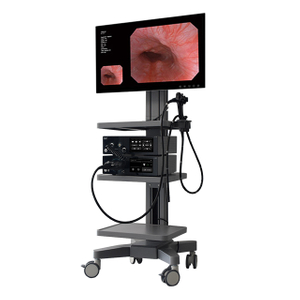 GEV-H1100 High-Definition Electronic Gastroscopy