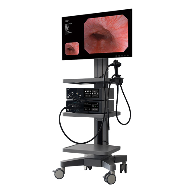 GEV-H1100 High-Definition Electronic Gastroscopy