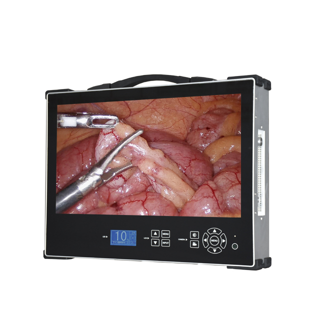 Portable 4K Medical Endoscope Camera 