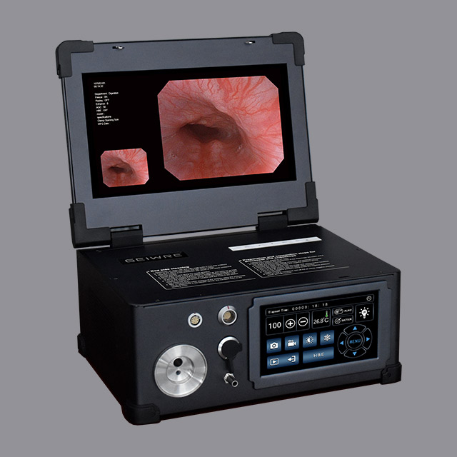 13.3-inch electronic gastroscopy and colonoscopy integrated machine