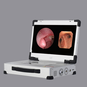 HD 3310 Dual Mirror Joint Integrated Rigid Flexible Endoscope Camera