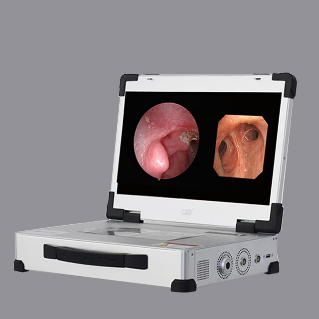 HD 3310 Dual Mirror Joint Integrated Rigid Flexible Endoscope Camera