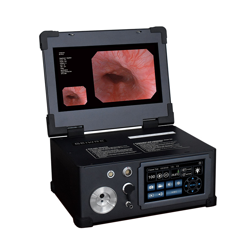 13.3-inch electronic gastroscopy and colonoscopy integrated machine