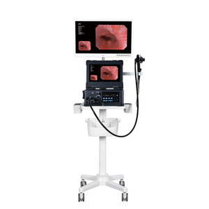 Portable 13.3-inch electronic gastroscopy and colonoscopy integrated machine