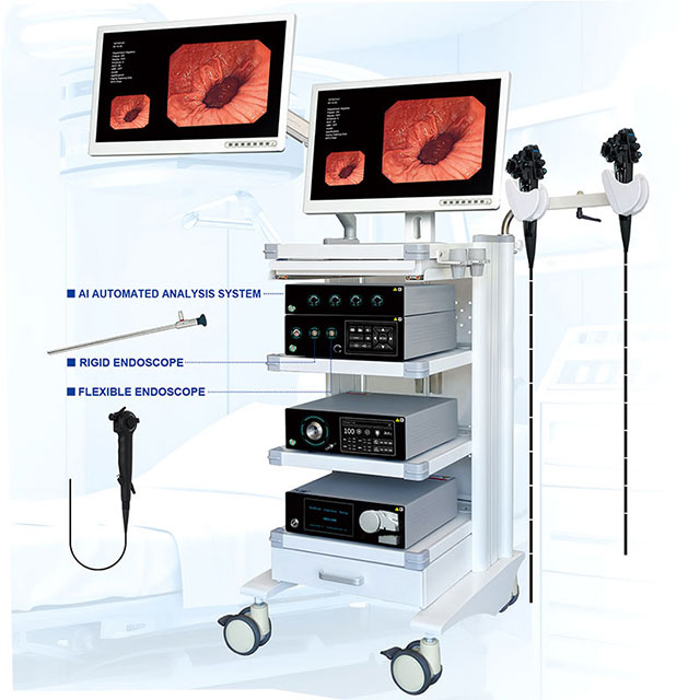 4K 2-in-1 Endoscope System with AI Analysis for Gastroenterology Gastroscope & Colonoscope