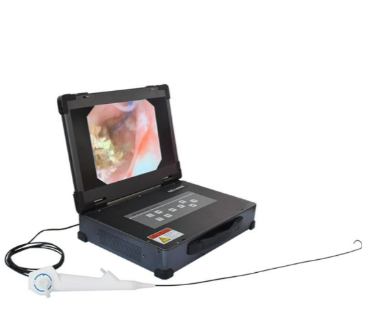 Flexible Ureteroscope4.png