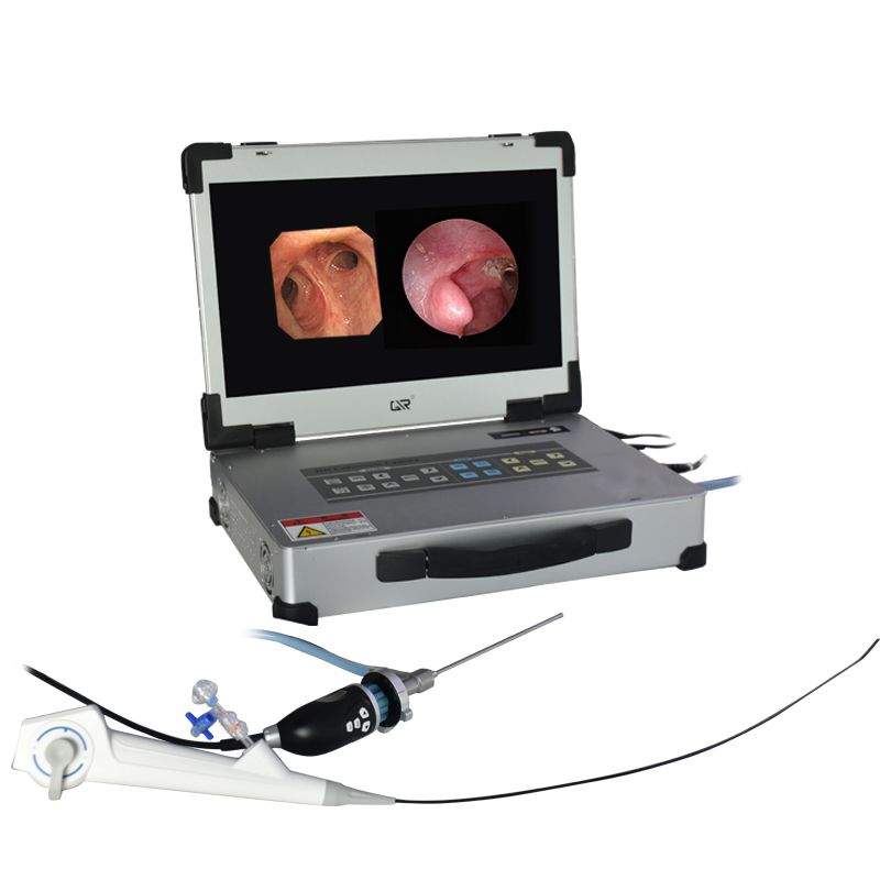 Rigid endoscope clinical application